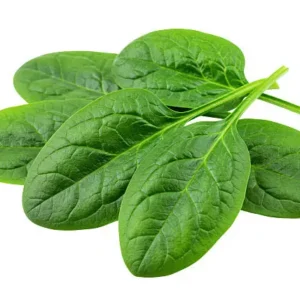 fresh spinach